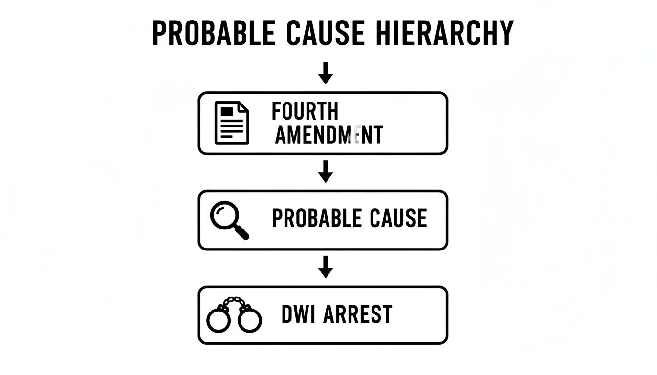 Flowchart illustrating the probable cause hierarchy, from Fourth Amendment principles to a DWI arrest.