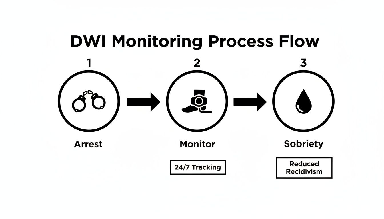 DWI monitoring process flow shows arrest, ankle monitor, and sobriety leading to reduced recidivism.