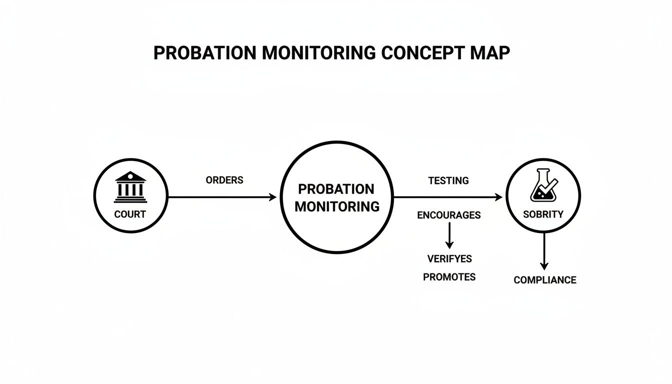 A concept map illustrates probation monitoring, showing court orders, testing for sobriety, and achieving compliance.