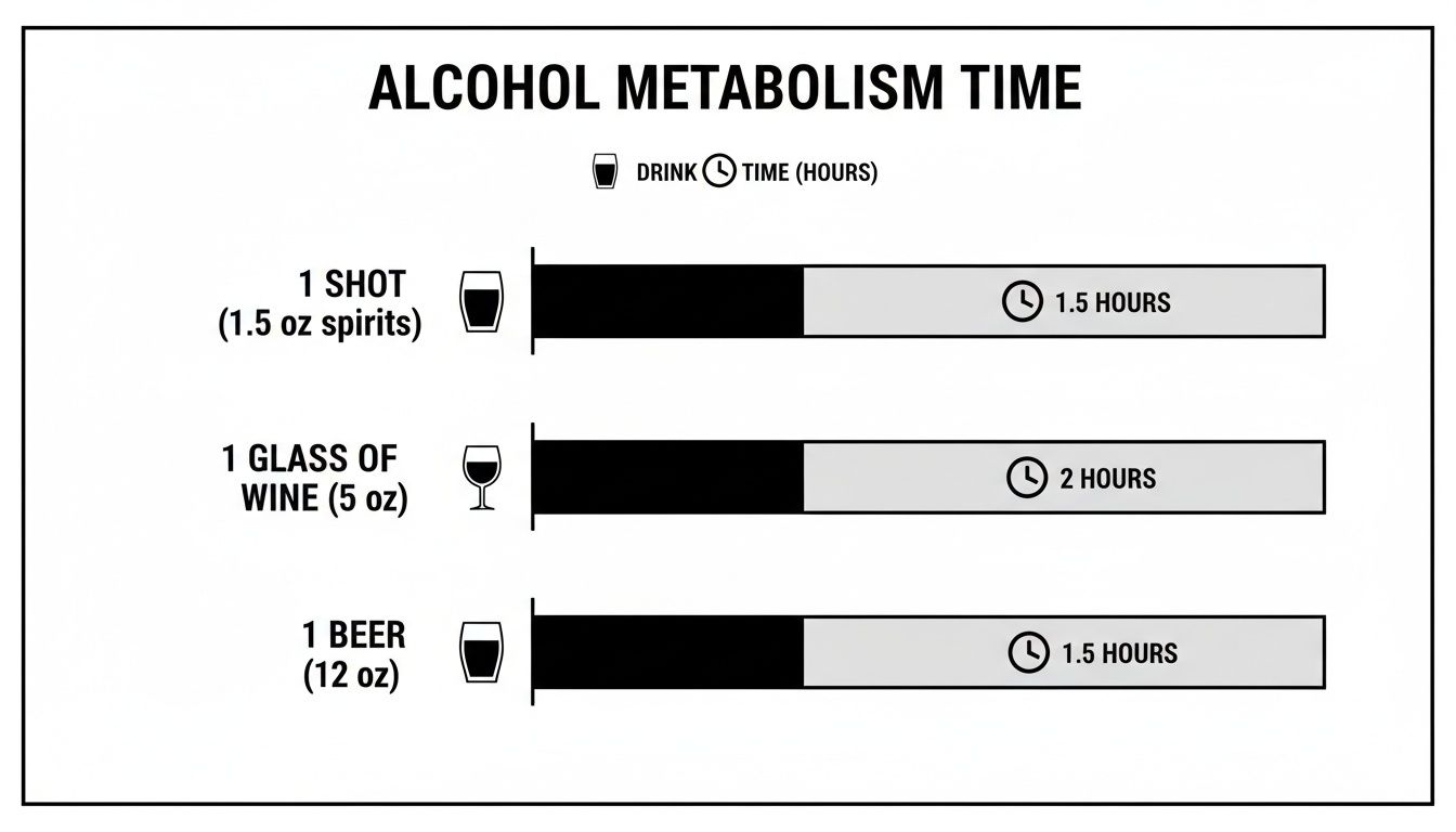 Infographic displaying alcohol metabolism times for one shot, one glass of wine, and one beer.